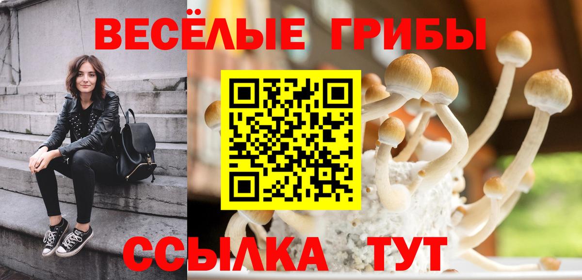 Галлюциногенные грибы мухоморы  Вход с VPN  Норильск 